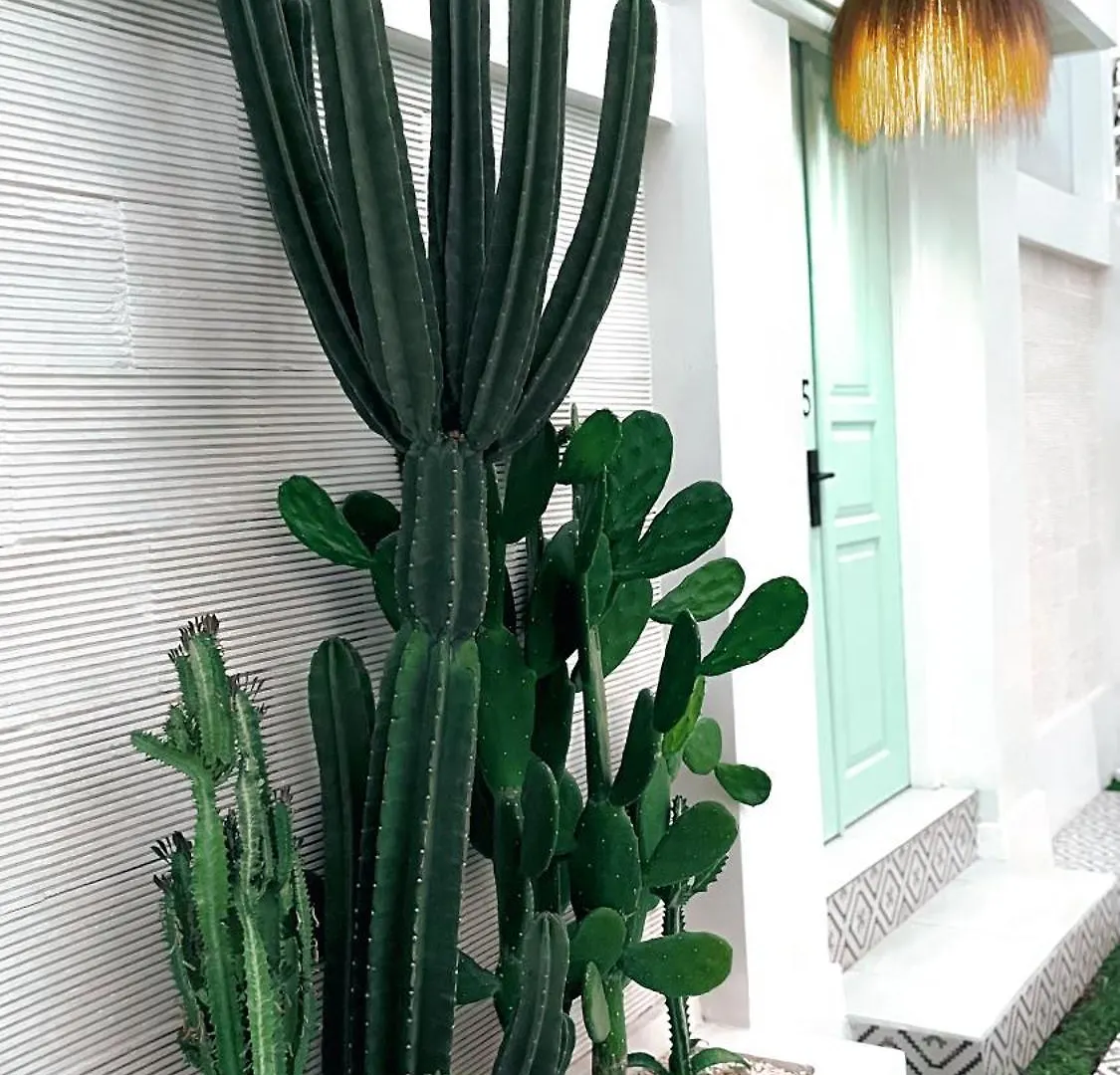 Kaktus Boutique Apartments Bali - Adults Only Legian   Legian (Bali)